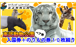 入園券と遊園地ののりもの券１０枚綴りをセットにしてお届けします。東武動物公園は、動物園と遊園地のほか、夏季限定でオープンする「プール」、植物エリア「ハートフルガーデン」を併設し、複数の魅力が融合したハ