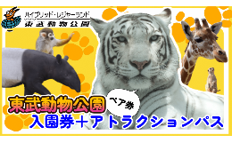 入園券と遊園地のアトラクションパスをセットにしてお届けします。東武動物公園は、動物園と遊園地のほか、夏季限定でオープンする「プール」、植物エリア「ハートフルガーデン」を併設し、複数の魅力が融合したハイ