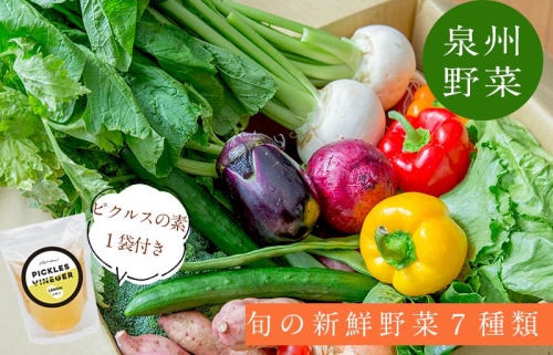 季節の泉州野菜 7種 おまかせセット ピクルスの素 1袋付き G893 106536 - 大阪府泉佐野市