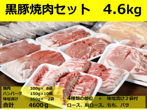 北海道　黒豚焼肉Bセット2.4kg・ハンバーグ10個・味噌漬け 1065496 - 北海道池田町