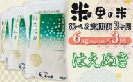 【令和6年産 先行予約】【3ヶ月定期便】 米の里の米 特別栽培米 はえぬき 6kg（2kg×3袋）×3回　K-630