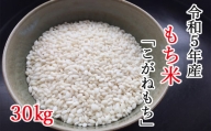 【令和5年産 新米】平泉町産もち米 こがねもち 30kg（30kg×1袋）