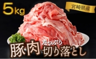 KU481 ＜2024年5月発送分＞宮崎県産 豚肉切り落とし 250g×20パック 合計5kg