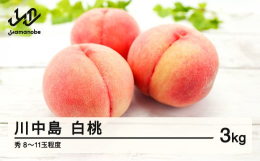 桃は温暖な気候を好むので、山形県が桃生産地のほぼ北限！山形の桃は、昼夜の寒暖差があり、なめらかな舌触りとみずみずしい食感が魅力です。「川中島白桃」は、糖度が高く果汁がやや多め、果肉はやや硬めで歯触りが