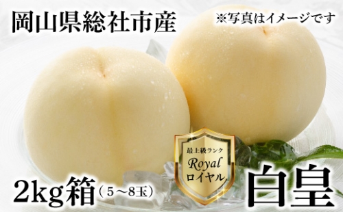 スポット特売 送料無料（一部除く）】 岡山産 夢白桃 約1.5ｋｇ