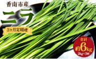 生産量日本一香南市のニラ 2kg 3ヶ月定期便 合計6kg - ニラ 香南市産 にら 朝採れ 産地直送 香味野菜 ニラ Won-0017