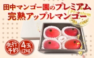 【先行予約】田中マンゴー園のプレミアム完熟アップルマンゴー 4玉で2kg 【7月中旬～8月中旬】
