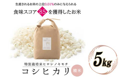 特別栽培米 コシヒカリ ヒロシノキモチ 精米 5kg 陽咲玲 米 お米 コメ 白米 ご飯 ごはん 富山県産 富山県 立山町 F6T-524 1066618 - 富山県立山町