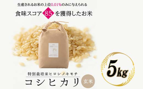 ≪先行予約≫特別栽培米 コシヒカリ ヒロシノキモチ 玄米 5kg 陽咲玲 米 お米 コメ ご飯 ごはん 富山県産 富山県 立山町 F6T-878 1066644 - 富山県立山町