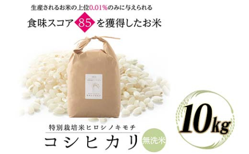 ≪先行予約≫特別栽培米 コシヒカリ ヒロシノキモチ 無洗米 10kg 陽咲玲 米 お米 コメ 白米 ご飯 ごはん 富山県産 富山県 立山町 F6T-877 1066645 - 富山県立山町