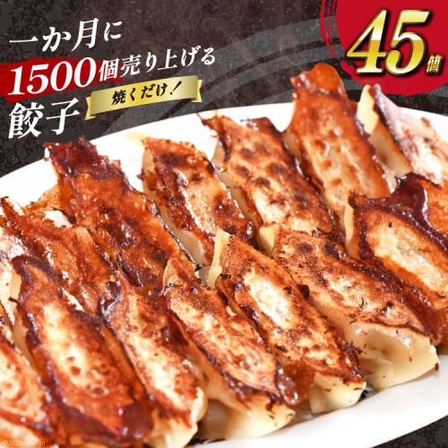 【AH019】 焼くだけ！一か月に1500個売り上げる餃子 45個（15個×3パック） 1066674 - 長崎県島原市