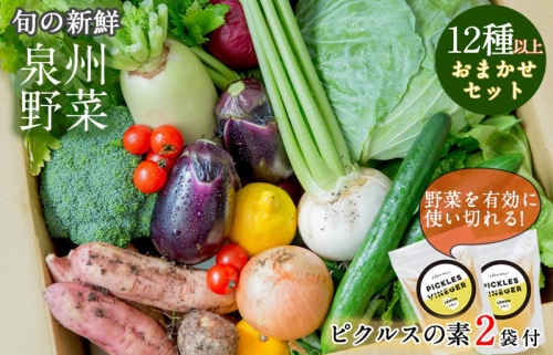 季節の泉州野菜 12種 おまかせセット ピクルスの素 2袋付き G894 106741 - 大阪府泉佐野市