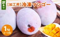 ■「訳あり」加工用冷凍マンゴー１キロ（２～３玉） /沖永良部島産