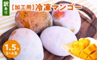 ■「訳あり」加工用冷凍マンゴー1.5キロ（３～４玉） /沖永良部島産