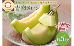 【青森県津軽産 ご家庭用青肉メロン 約5kg 品種：キスミー、タカミ等（品種おまかせ）※色廻りやサイズ等、網目が不揃い】青森県最大のメロン産地である津軽半島の日本海側で栽培されている美味しいメロンです