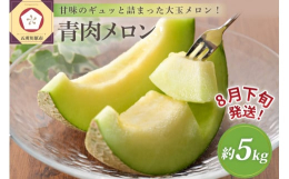 【青森県津軽産 ご家庭用青肉メロン 約5kg 品種：キスミー、タカミ等（品種おまかせ）※色廻りやサイズ等、網目が不揃い】青森県最大のメロン産地である津軽半島の日本海側で栽培されている美味しいメロンです