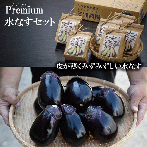 【Premium】水なすセット【新鮮 野菜 泉佐野産 茄子 やさい 高評価 数量限定】 020C066 106999 - 大阪府泉佐野市