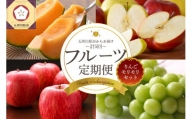 【2024年8月発送開始】フルーツ 定期便 5回 りんご モリモリ セット