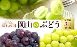 【配達不可：北海道・沖縄・離島】 ●先行予約●収穫時期になりましたら順次出荷します！ 晴れの国『岡山』で育った旬のぶどうを、定期便でお届けします。 温暖な気候、豊かな環境ですくすくと育った岡山自慢のフ