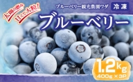 141-2 冷凍ブルーベリー 1.2kg［400g×3P］