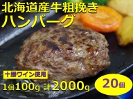 北海道産牛粗挽きハンバーグ20個【A011-14-1】