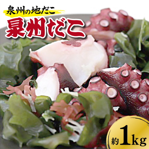 泉州タコ1ｋｇ kgp0026 107109 - 大阪府泉佐野市
