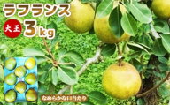 [大玉] ラフランス 3kg | 洋梨 梨 果物 くだもの フルーツ 食後 デザート 香り豊か 甘味が強い 程よい酸味 タルト コンポート ギフト 贈り物 お取り寄せ ふるさと納税 宮城県 白石 白石市