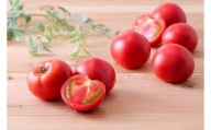 清野ファーム高糖度トマト　※令和6年7月～8月にお届け【18001】