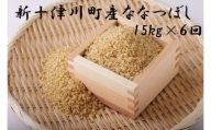 ななつぼし玄米定期便（15kg×６回）　※偶数月にお届け【11011】