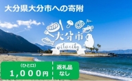 大分県大分市 返礼品なし（寄附のみの受付となります） 一口1,000円 大分県 大分市 寄附 事業 1000円 応援 エール 返礼品なし ふるさと納税 温泉 Z03001