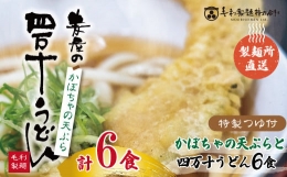【ふるさと納税】R5-796．【数量限定】四万十うどんとカボチャの天ぷら６食セット