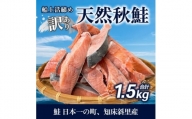 ＜先行受付＞＜訳あり＞知床斜里産 天然秋鮭の切り身 約1.3kg 船上活締め【1430538】