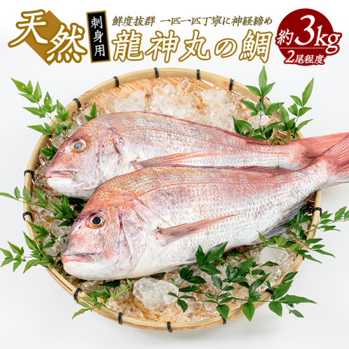 龍神丸水産の鯛 刺身用(約3kg)【龍神丸水産】ryujin-1203 1073496 - 鹿児島県長島町