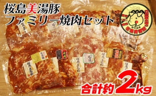 B2-4506／桜島美湯豚　ファミリー焼肉セット 1074079 - 鹿児島県垂水市