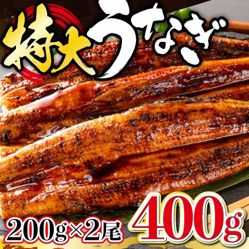うなぎ蒲焼専門店「柳屋」国産うなぎ蒲焼 (約200g×2尾) B-840 1074306 - 佐賀県上峰町