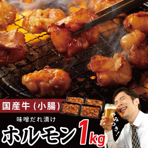 国産 牛肉 ホルモン 1kg 味噌だれ漬け 焼肉用 小分け 250g×4P【牛肉 焼肉用 焼くだけ 小分け BBQ やきにく 数量限定】 G1768 107459 - 大阪府泉佐野市