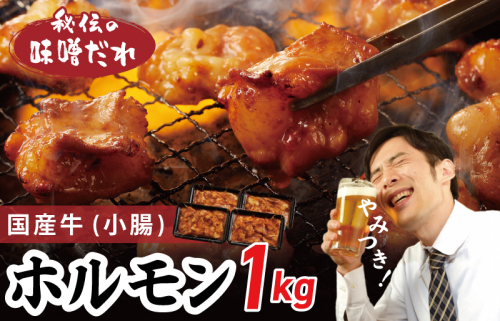 国産 牛肉 ホルモン 1kg 味噌だれ漬け 焼肉用 小分け 250g×4P G1154 107459 - 大阪府泉佐野市