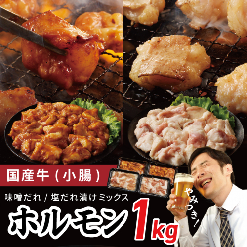 国産 牛肉 ホルモン 1kg 味付けMIX 味噌／塩だれ 焼肉用 小分け 250g×4P【牛肉 焼肉用 焼くだけ 小分け BBQ やきにく 数量限定】 099H3871 107461 - 大阪府泉佐野市