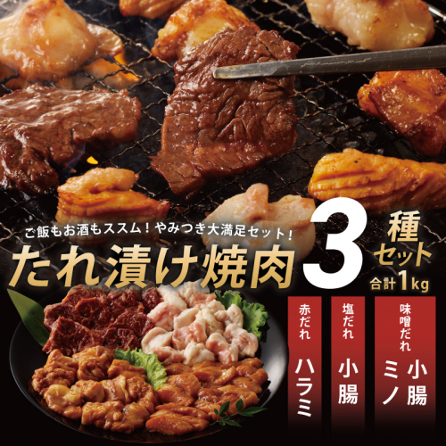 アキラ商店 3種盛り合わせセット 合計 1kg【焼肉用ホルモン 牛肉 ハラミ ミノ 小腸 焼くだけ 小分け BBQ やきにく 数量限定】 010B1521 107462 - 大阪府泉佐野市