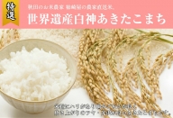 【白米】秋田県産 あきたこまち 20kg（10kg×2袋） お米専門農家だからできる こだわりの産地直送米 令和5年産