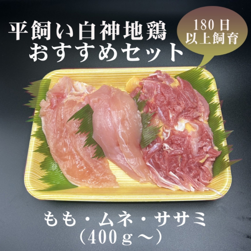 数量限定 平飼い白神地鶏 おすすめセット 400g～ 1パック  詰め合わせ  平飼い 地鶏 鶏肉 鳥肉 お肉 肉 秋田 秋田県 能代市 1074728 - 秋田県能代市