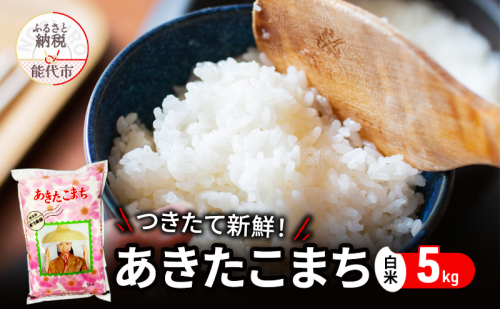 白米 ★つきたて新鮮★ うまい!! 本場のあきたこまち 5kg 精米 ご飯 ブランド米 おにぎり 令和6年産 産地直送 おこめ ごはん 秋田県 秋田 能代市 お米 銘柄米 お弁当 和食  1074790 - 秋田県能代市