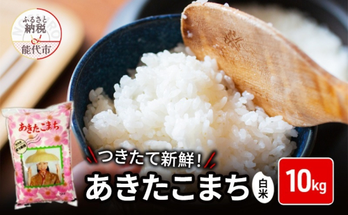 白米 ★つきたて新鮮★ うまい!! 本場のあきたこまち 10kg 精米 ご飯 ブランド米 おにぎり 令和7年産 産地直送 おこめ ごはん 秋田県 秋田 能代市 1074791 - 秋田県能代市