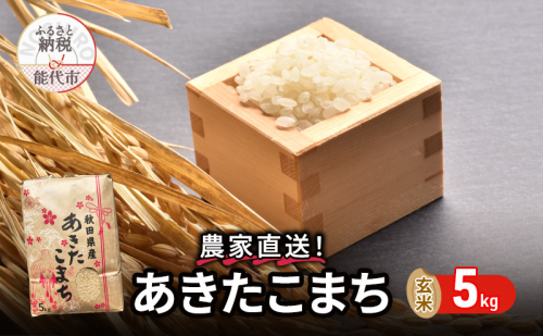 玄米 農家直送！うまい!! 本場のあきたこまち 5kgご飯 ブランド米 おにぎり 令和6年産 産地直送 おこめ ごはん 秋田県 秋田 能代市 お米 銘柄米 お弁当 和食  1074792 - 秋田県能代市