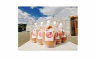 入間市産3種の完熟いちごの「甘酒」6本セット 砂糖不使用・ノンアルコール【1441369】
