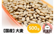 【国産】大麦 500g×1袋 サイトウ・コーポレーション 飼料