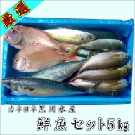 御坊産　鮮魚セット5kg【配送不可地域】沖縄・北海道・東北・九州