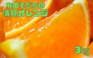 【2025年2月下旬～3月下旬順次発送予定】有田育ちの完熟清見オレンジ(ご家庭用)　約3kg