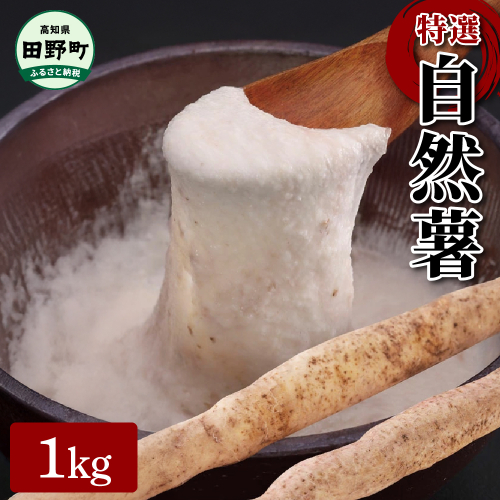【四国一小さなまちの自然薯】★2024年12月中旬発送開始★ 田野町特選 『 令和6年産 自然薯 』 約1kg 1075944 - 高知県田野町