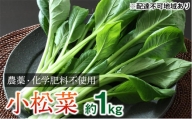 [№5258-0267]栽培期間中農薬化学肥料不使用の小松菜詰め合わせ 約1kg（100g×10袋）